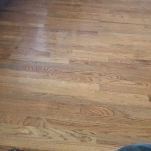 Meet your Posher, Carl